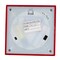 Kurt Adler 9-Inch Battery-Operated Peanuts Lit Musical Water Lantern